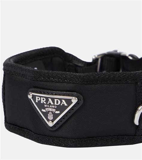 nylon pet collar prada|Re.